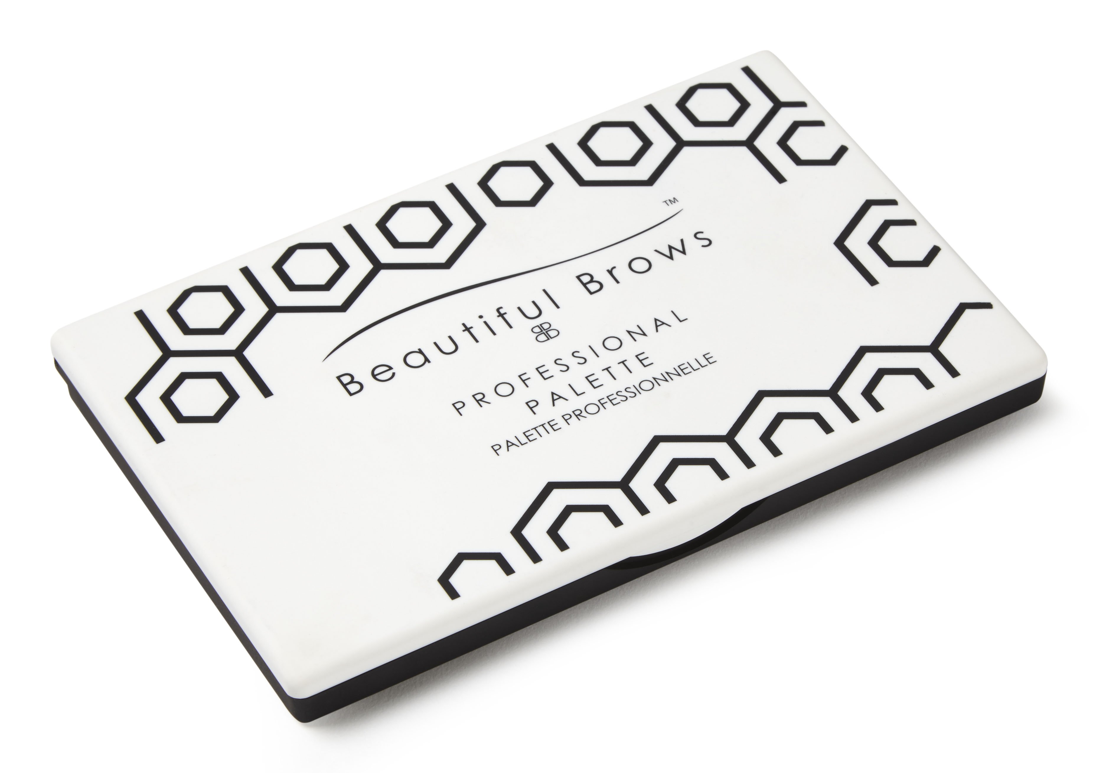 professional_palette_38df2f3f-8ed3-4e86-b849-a86a8de103ea.jpg